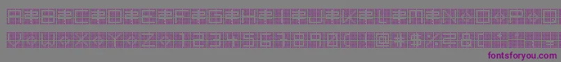 BackToHeavyCoatFatGroundQuad Font – Purple Fonts on Gray Background