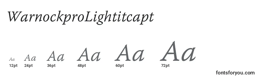 WarnockproLightitcapt Font Sizes