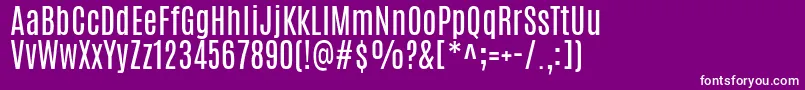 AntonioRegular Font – White Fonts on Purple Background