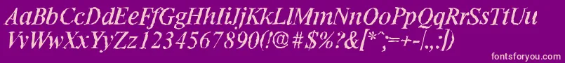 RiccionerandomItalic Font – Pink Fonts on Purple Background