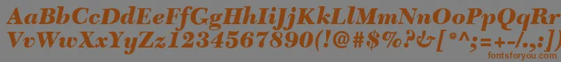 Czcionka C651RomanBlackItalic – brązowe czcionki na szarym tle