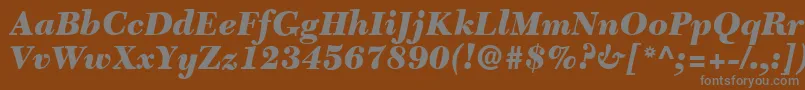 C651RomanBlackItalic Font – Gray Fonts on Brown Background