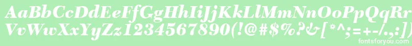 C651RomanBlackItalic Font – White Fonts on Green Background