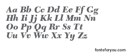 C651RomanBlackItalic Font