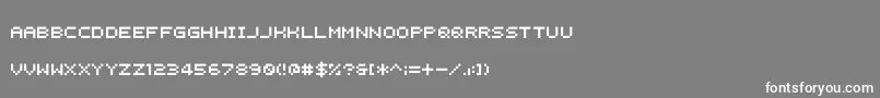 フォントInstructions – 灰色の背景に白い文字