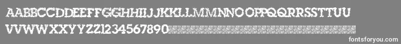 Singleorigin Font – White Fonts on Gray Background