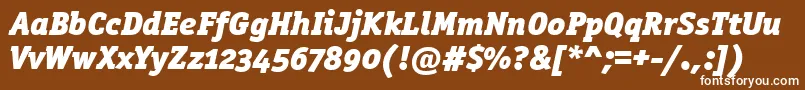 OfficinaserblkositcttРљСѓСЂСЃРёРІ Font – White Fonts on Brown Background