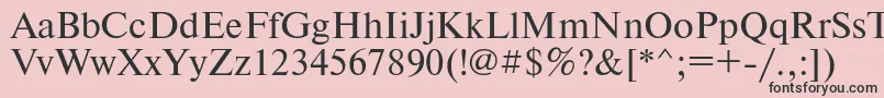 フォントTimesetRegular – ピンクの背景に黒い文字