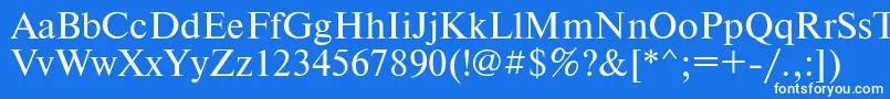 フォントTimesetRegular – 青い背景に白い文字