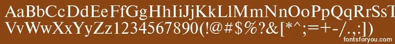 フォントTimesetRegular – 茶色の背景に白い文字