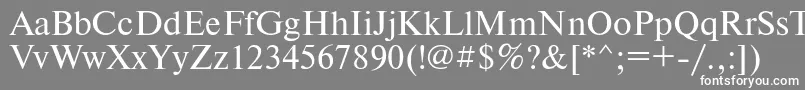 フォントTimesetRegular – 灰色の背景に白い文字