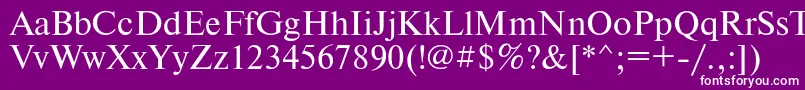フォントTimesetRegular – 紫の背景に白い文字