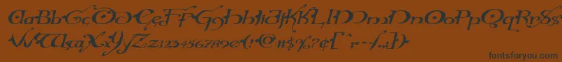 Hollyjinglesolidexpandital Font – Black Fonts on Brown Background