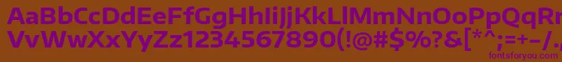 EncodesanswideBold Font – Purple Fonts on Brown Background