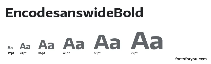 EncodesanswideBold Font Sizes
