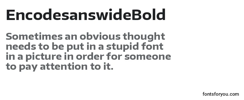 EncodesanswideBold Font