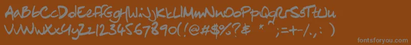 Chn1Regular Font – Gray Fonts on Brown Background