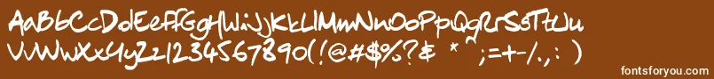 Chn1Regular Font – White Fonts on Brown Background