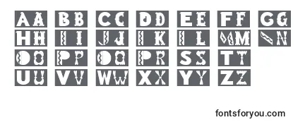 Review of the RomneyRegular Font
