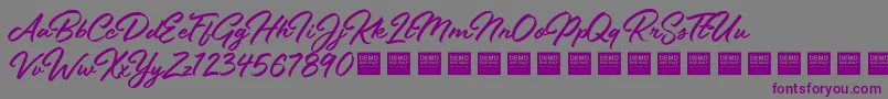 StayFreshDemo-fontti – violetit fontit harmaalla taustalla