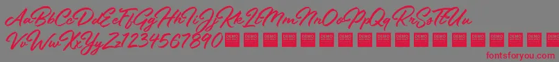 フォントStayFreshDemo – 赤い文字の灰色の背景