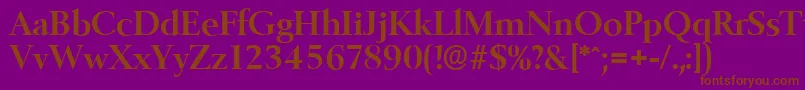 BelfastserialBold Font – Brown Fonts on Purple Background