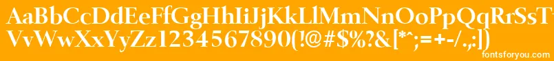 BelfastserialBold Font – White Fonts on Orange Background