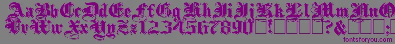 ShadowedBlackWide-Schriftart – Violette Schriften auf grauem Hintergrund