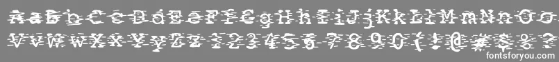 フォントStatic2 – 灰色の背景に白い文字