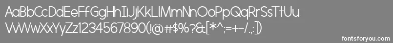 フォントMorningtypeLight – 灰色の背景に白い文字