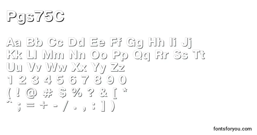 Czcionka Pgs75C – alfabet, cyfry, specjalne znaki