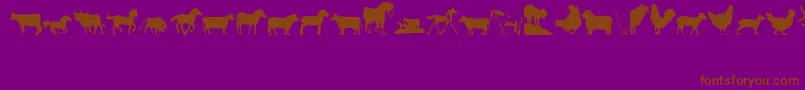 Barnyrd1 Font – Brown Fonts on Purple Background