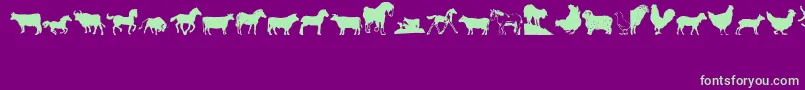 Barnyrd1 Font – Green Fonts on Purple Background