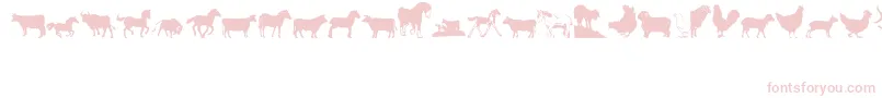 Шрифт Barnyrd1 – розовые шрифты на белом фоне