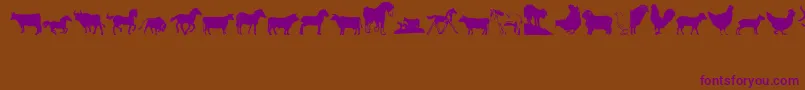 Barnyrd1 Font – Purple Fonts on Brown Background