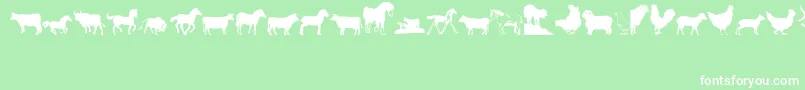 Barnyrd1 Font – White Fonts on Green Background