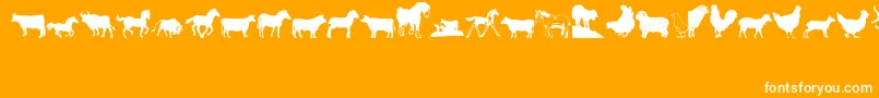 Barnyrd1-Schriftart – Weiße Schriften auf orangefarbenem Hintergrund