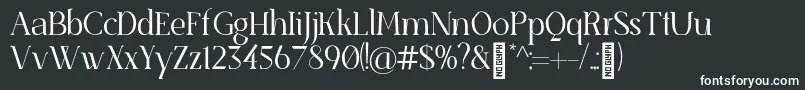 SenzabellaLight Font – White Fonts