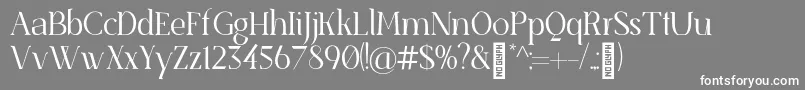 SenzabellaLight Font – White Fonts on Gray Background