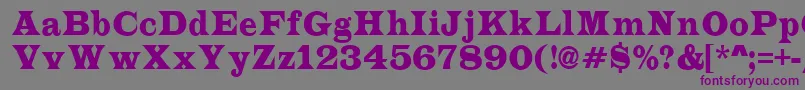 ALatinonr Font – Purple Fonts on Gray Background
