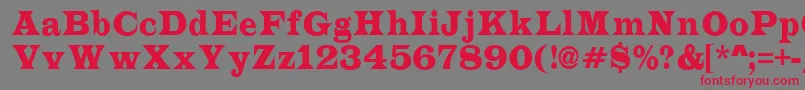 ALatinonr Font – Red Fonts on Gray Background