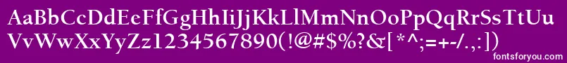 ItcBerkeleyOldstyleLtBold Font – White Fonts on Purple Background