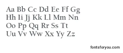Review of the ItcBerkeleyOldstyleLtBold Font