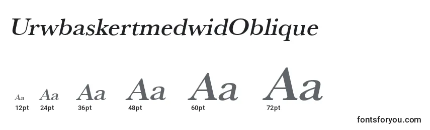 Размеры шрифта UrwbaskertmedwidOblique