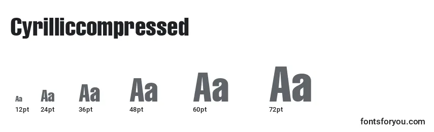Размеры шрифта Cyrilliccompressed