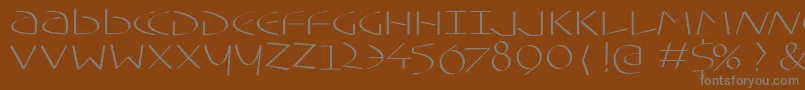 Typoasisuncial Font – Gray Fonts on Brown Background
