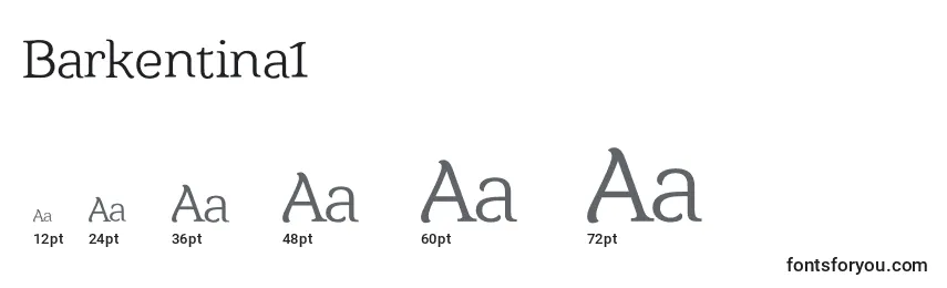 Размеры шрифта Barkentina1