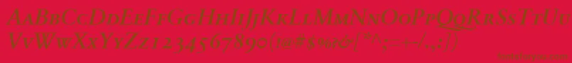 SabonnextLtDemiItalicSmallCaps Font – Brown Fonts on Red Background