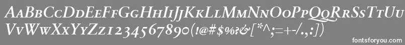SabonnextLtDemiItalicSmallCaps Font – White Fonts on Gray Background
