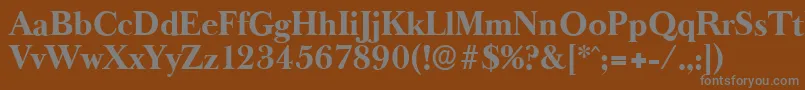 BaskeroldserialXboldRegular Font – Gray Fonts on Brown Background